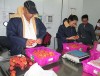 Vải thiều Bắc Giang chính thức lên máy bay đi Mỹ