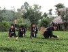 Các chỉ tiêu du lịch giảm mạnh