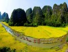 Lượng tìm kiếm về du lịch Việt Nam tăng trưởng tốp đầu thế giới