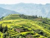 Bắc Hà tổ chức Festival Cao nguyên trắng mùa Thu năm 2023 với chủ đề “Sắc thu cao nguyên”