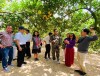 Khảo sát, tọa đàm giới thiệu tour du lịch vùng cây ăn quả huyện Lục Ngạn