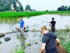 Việt Nam mang đến những trải nghiệm ấn tượng cho du khách ngoại quốc