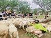 Bắc Giang ban hành Nghị Quyết Quy đinh chính sách hỗ trợ phát triển du lịch cộng đồng giai đoạn 2023-2030