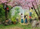 Đẹp đến "nghẹt thở" những mùa hoa trên khắp đất nước mình