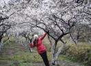 Tour du lịch ngắn ngày hấp dẫn khách dịp Tết Nguyên đán