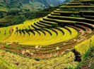 Ngắm những khoảnh khắc mùa thu hút hồn trên thế giới