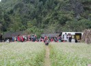 Nhiều tour hấp dẫn trong mùa đông 2015