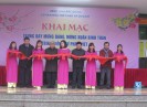 Khai mạc trưng bày chuyên đề “Mừng Đảng, Mừng xuân Bính Thân, trình diễn thư pháp Việt"