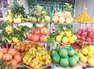 Khai mạc Hội chợ Cam, bưởi và các sản phẩm đặc trưng huyện Lục Ngạn