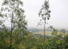 UBND tỉnh phê duyệt nhiệm vụ Quy hoạch chi tiết xây dựng Khu sinh thái Khe Hang Dầu, xã Nham Sơn, huyện Yên Dũng