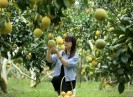 Bắc Giang phê duyệt Đề án nâng cao hiệu quả thu hút đầu tư đến năm 2030