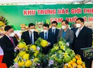 Bắc Giang đẩy mạnh xúc tiến, tiêu thụ các nông sản đặc trưng