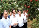 Nguyên Chủ tịch nước Trương Tấn Sang thăm Bắc Giang