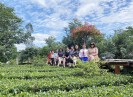 Địa phương có dịch cấp độ 1 và 2 hoạt động du lịch được phục vụ 100% công suất