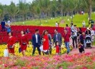 Tăng cường kiểm soát chất lượng kinh doanh dịch vụ du lịch dịp Tết Nguyên đán Quý Mão 2023