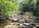 Thực hiện chuyển đổi số phát triển kinh tế số du lịch tỉnh Bắc Giang 