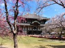 Nhộn nhịp thị trường tour Tết 2023