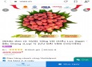 Bắc Giang: Chính thức mở bán vải thiều trên 6 sàn thương mại điện tử