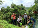 Lượt khách và doanh thu du lịch tăng cao trong nửa đầu nhiệm kỳ đại hội