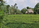 Bắc Giang phê duyệt Đề án phát triển du lịch cộng đồng giai đoạn 2022 -2030
