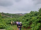 Bắc Giang khảo sát xây dựng sản phẩm du lịch