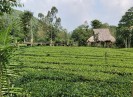  Yên Thế: Lượng khách du lịch tăng nhanh trong 6 tháng đầu năm 2022