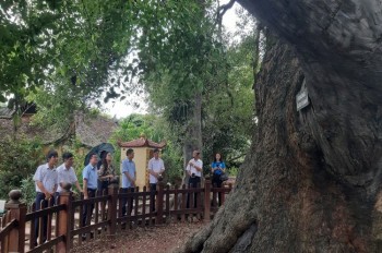 Xây dựng đội ngũ thuyết minh viên chuyên nghiệp tại các điểm di tích lịch sử, văn hóa, danh lam thắng cảnh – Một giải pháp cần thiết để thúc đẩy phát triển du lich ở Bắc Giang