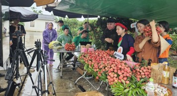 Bắc Giang: Nguồn cảm hứng cho các nhà sáng tạo TikTok quảng bá du lịch, nông sản